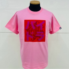 25 pChTee/TNsN