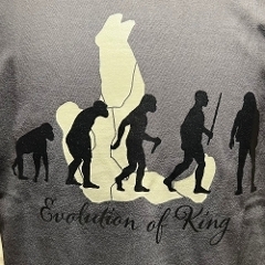SALE Evolution of KING Tee/smoke