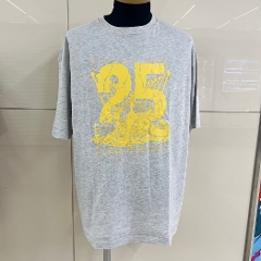 ��������DOA2025 BIGTee �O���[/�C�G���[